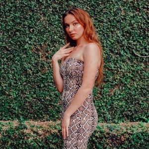 Strapless Snake Print Dress/Skirt